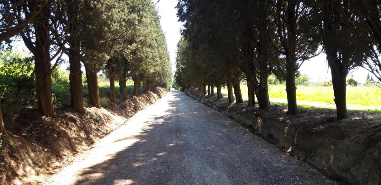 MarmigliaioLa Casa Della Pieve Vecchia公寓 外观 照片